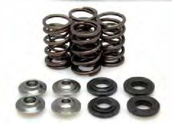 Picture of VALVE SPRING KIT KTM250 05-07 KIBBLEWHITE 96-96090 RACING