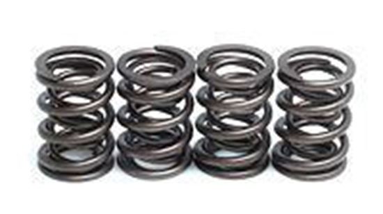 Picture of VALVE SPRING SET ROTAX 500/600 KIBBLEWHITE 91-9401 RACING