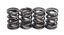 Picture of VALVE SPRING SET ROTAX 500/600 KIBBLEWHITE 91-9401 RACING