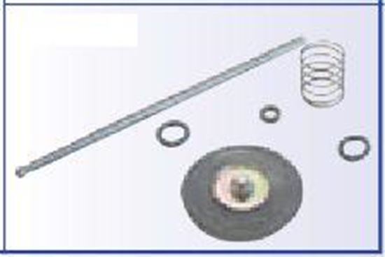 Picture of ACCELERATOR PUMP REBUILD KIT