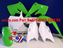 Picture of PLASTIC KIT/5 04-05 KXF250 OEM RACETECH KITKXF-OEM-504
