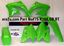 Picture of PLASTIC KIT/4 06-08 KXF450 GRN RACETECH KITKXF-VE0-406