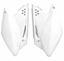 Picture of SIDE PANELS KXF250 06-08 RACETECH FIKXFBN0026