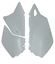 Picture of SIDE PANELS 00-10 DRZ400E RACETECH FIDRZBN0000
