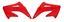 Picture of RADIATOR SCOOP CR125 250 02-07 RACETECH CVCR0RS0203