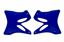 Picture of RADIATOR SCOOPS 02-14 YZ125/25 RACETECH CVYZ0BL0203