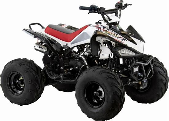 Picture of BOYS ATV CONDOR 18x9.5-8 110cc