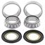 Picture of Steering Bearing Kit Ducati 1000SS 03-06, 900, 916, Monster 600, 750, 900